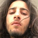 Mohamed Amine Arfaoui (Simon)